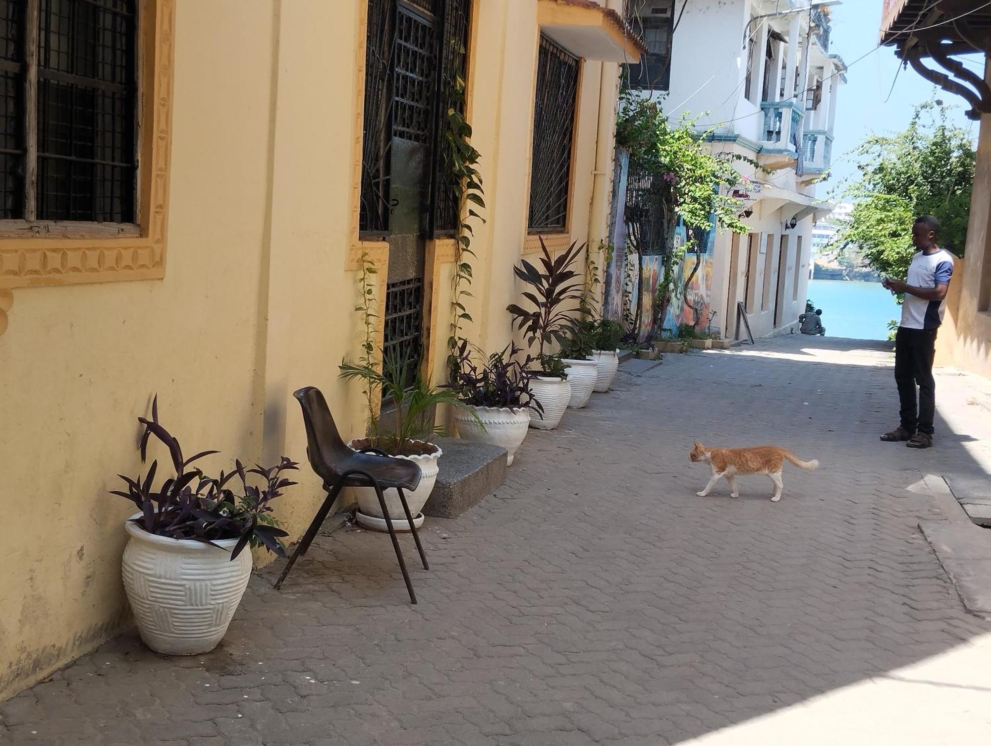 Mombasa Comfort House, Old Town Exteriör bild